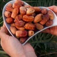 خرمای زاهدی یا قصب درجه یک