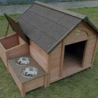 انواع لانه سگ