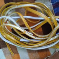 شلنگی نورمخفی .ریسه رنگی