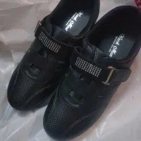 کفش|کیف، کفش، کمربند|زنجان, |دیوار