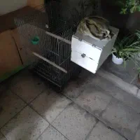 قفس پرنده
