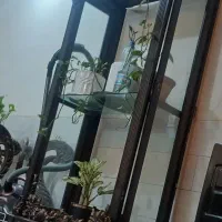 بوفه چوب عالی  درحدنو فقط شیشه جلوش شکسته