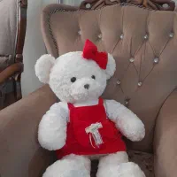 دو خرس عروسکی بزرگ نو
