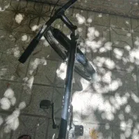 گرینچیک. عروس هلندی. مرغ عشق. دوچرخه|دوچرخه، اسکیت، اسکوتر|مشهد, حرم مطهر رضوی|دیوار