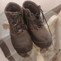 کفش ایمنی کار