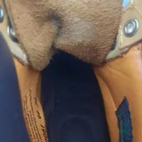 بوت timberland orginal|کیف، کفش، کمربند|محمدشهر, محمدشهر|دیوار