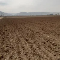 زمین ۵۵۰۰متری دامداری باغشهری داریون