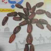 عربی جامع خیلی سبز