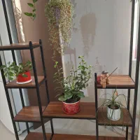 استند گلدان|گل و گیاه طبیعی|تهران, امیریه|دیوار