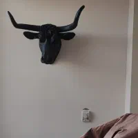 مجسمه گاو بوفالو فایبرگلاس|مجسمه، تندیس، ماکت|قزوین, |دیوار