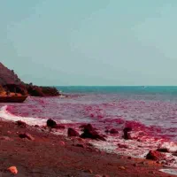 تور های قیمت مناسب