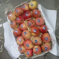 سیب دورج قرمز ریز قالب|خوردنی و آشامیدنی|میاندوآب, |دیوار