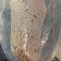 عسل کوهی|خوردنی و آشامیدنی|شیراز, میرزاکوچک خان|دیوار