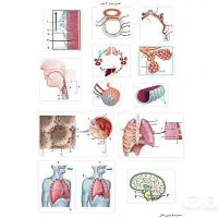 تدریس زیست کنکور و دبیرستان توسط دانشجوی پزشکی