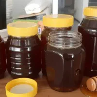 عسل کوهستان