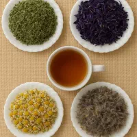 گیاهان دارویی تازه و کوهی