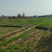 فروش-1000متر-زمین-تجاری