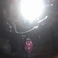 سماورگازی|سماور، چای‌ساز، قهوه‌ساز|تهران, شهید رجایی|دیوار