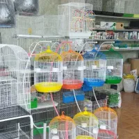 پرنده فروشی رضا نباتی