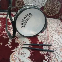 یک عدد دوقول حرفه ای