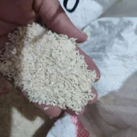 برنچ چنپا|خوردنی و آشامیدنی|باغ ملک, |دیوار