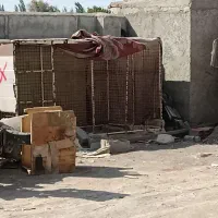 قفس|لوازم جانبی حیوانات|اردبیل, |دیوار