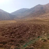 زمین