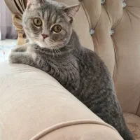 لطفا بخونید اگهی رو