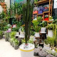 خدمات باغبانی، هرس کاری، گل کاری