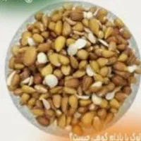 اش سلامت و ارگانیک|خوردنی و آشامیدنی|شیراز, عادل آباد|دیوار