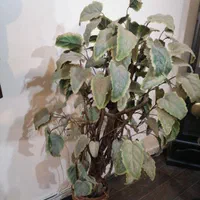 درختچه مصنوعی
