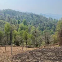 800متر-زمین-کوهستانی-دربلندی-باویوی-ابدی-درلاهیجان