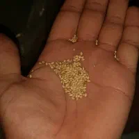 ۱ تن و نیم ارزن