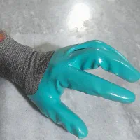 پخش دستکش کار