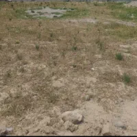 زمین-ویلایی