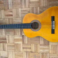 گیتار آریا ak20