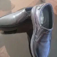 کفش اداری و مجلسی مردانه|کیف، کفش، کمربند|ایوان, |دیوار