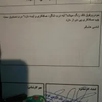 فروش ۲۰۷ پانا مدل ۴۰۱|خودرو سواری و وانت|شیراز, شهرک بهشتی|دیوار