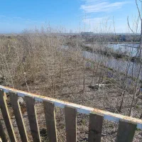 لمس چوب و عطر خوش باران را تجربه کن