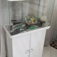 آکواریم لبه خم|ماهی|مشهد, طبرسی شمالی|دیوار