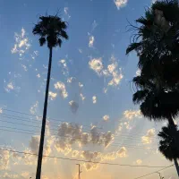 فروش یک ملک تجاری و یک قطعه ویلا