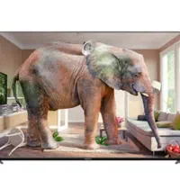 تلوزیون ۵۵اینچ دنای