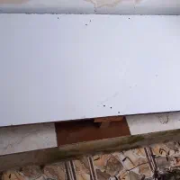 تخت ام دی اف تک نفره|تخت و سرویس خواب|لنگرود, |دیوار