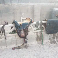 وسایل اسب سواری صفر تاصد موجوده|اسب و تجهیزات اسبسواری|باخزر, |دیوار