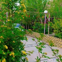 فروش باغ|فروش خانه و ویلا|سیاخ دارنگون, |دیوار