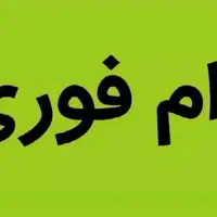 استخدام وام گیرنده