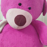 خرس صورتی|اسباب‌بازی بچه|قم, شاه ابراهیم|دیوار