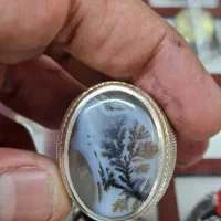 شجر خوشگل|جواهرات|یزد, |دیوار