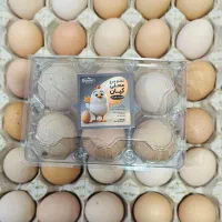 فروش تخم مرغ ارگانیک محلی|خوردنی و آشامیدنی|پلدختر, |دیوار