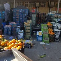 نیازمند کارگر برای میدان تره بار